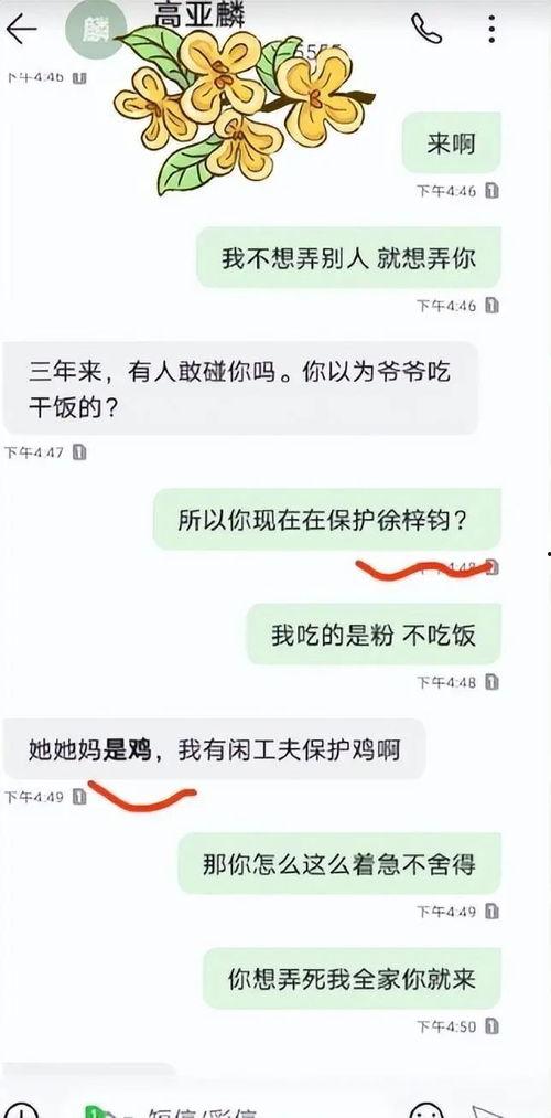 吃瓜炸裂聊天记录视频,揭秘视频背后的惊人真相