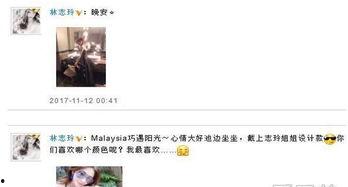 娱乐最近热门消息,最新热门事件盘点，揭秘幕后故事与精彩瞬间